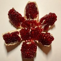 skummuks