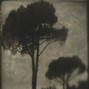 OUTBY16 - Valkyria