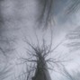 OUTBY16 - Below