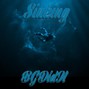BGDidIt - Sinking