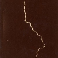 knerve