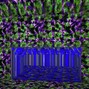sierra spooks - [free] Kuru x Whitarmour type beat - "apple"