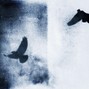 KIVNTI / Sleeplessnightts - Destroy Lonely x Untiljapan = "CROWS"