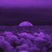 prodnel - midnight