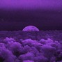 prodnel - midnight