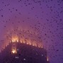 ACURA - PURPLE RAIN