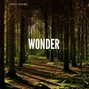 codymckeemusic - Wonder 