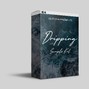 Gotchaa - GOTCHA PRESENTS: THE DRIPPING SAMPLE PACK