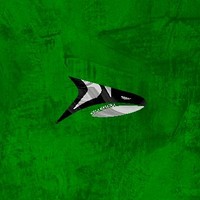 kasatka