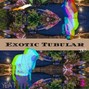 J0K3 - 25% Off- Exotic Tubular x J0K3 (YEAT Type Beat) Code: 25OFFCODE