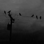 Octayvian - The Darkest Hour