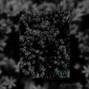 SBKOV Beatz - Darl Trap Instrumental Beat - "Sky" 