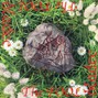 charge ✦ - I AM NOTHING [ bladee the fool ]