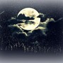 FREE - Under The Moonlight
