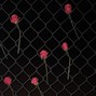 905cupid - Chainlink (Prod 905cupid x Kadence)