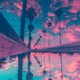 905cupid - Lavender w/ MILLIONAIR