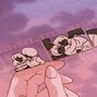 zyrschi - Camera Roll