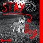 nevoruymp3 - Stay dog 130 bpm