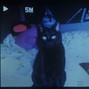 Lost Dog - Mdma