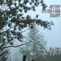 Lost Dog - Dust