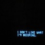 Lost Dog - Glitch