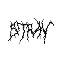 STRAY