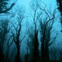 redlightvalentine - Twinned Hallows