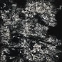 galacticbeats - Claves 