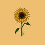 ZY Beats - Sunflower
