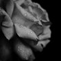 Andimaniac_Beats - Grey_108BPM_Sad_Guitar