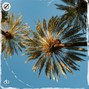 K!o - Lovely Day