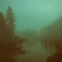 Loverd - Forest