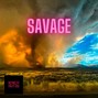 Bricknotesproductions - Savage