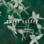Syrupp Beats - Sweet Escape