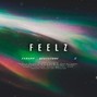 Syrupp Beats - feelz