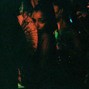 ilyEli - In the club