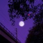 Toi Okuda - Purple Moon