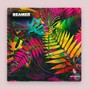 Dredbeatz - Beamer | AFROBEAT TYPE BEAT