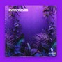 Dredbeatz - Afroswing  omahlay x victony Type Beat "Luna Waves"