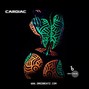 Dredbeatz - Cardiac | SZA - HER type beat