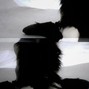 lavendr - better off dead
