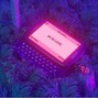 isitspacy - bad habit [buy 2 get 1 free]
