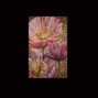 briacsevere - kitschy