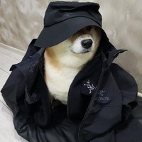 ShibaGoodBoy