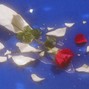 wydtillo - Heartbreak!