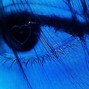 dthstare - i've tried to let go