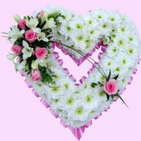 cova rosa