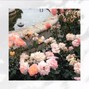cova rosa - monday flowers [ukulele type beat]