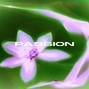 MEDUSA - PASSION