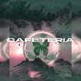 MEDUSA - CAFETERIA